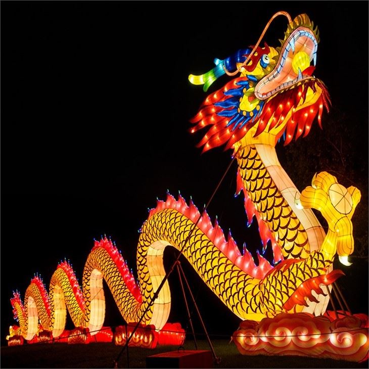 Outdoor Custom Big Size Dragon Lanterns